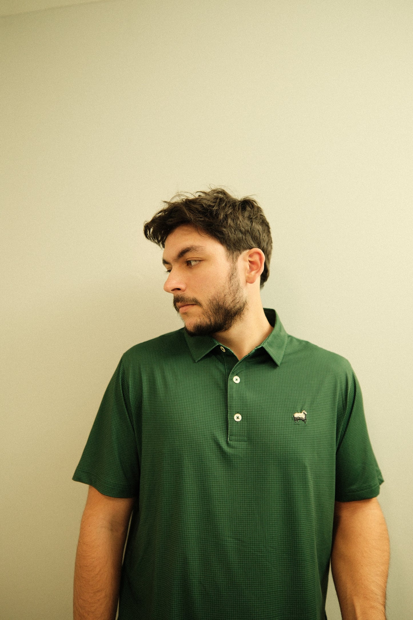 'Green' Sheepstooth Polo Shirt