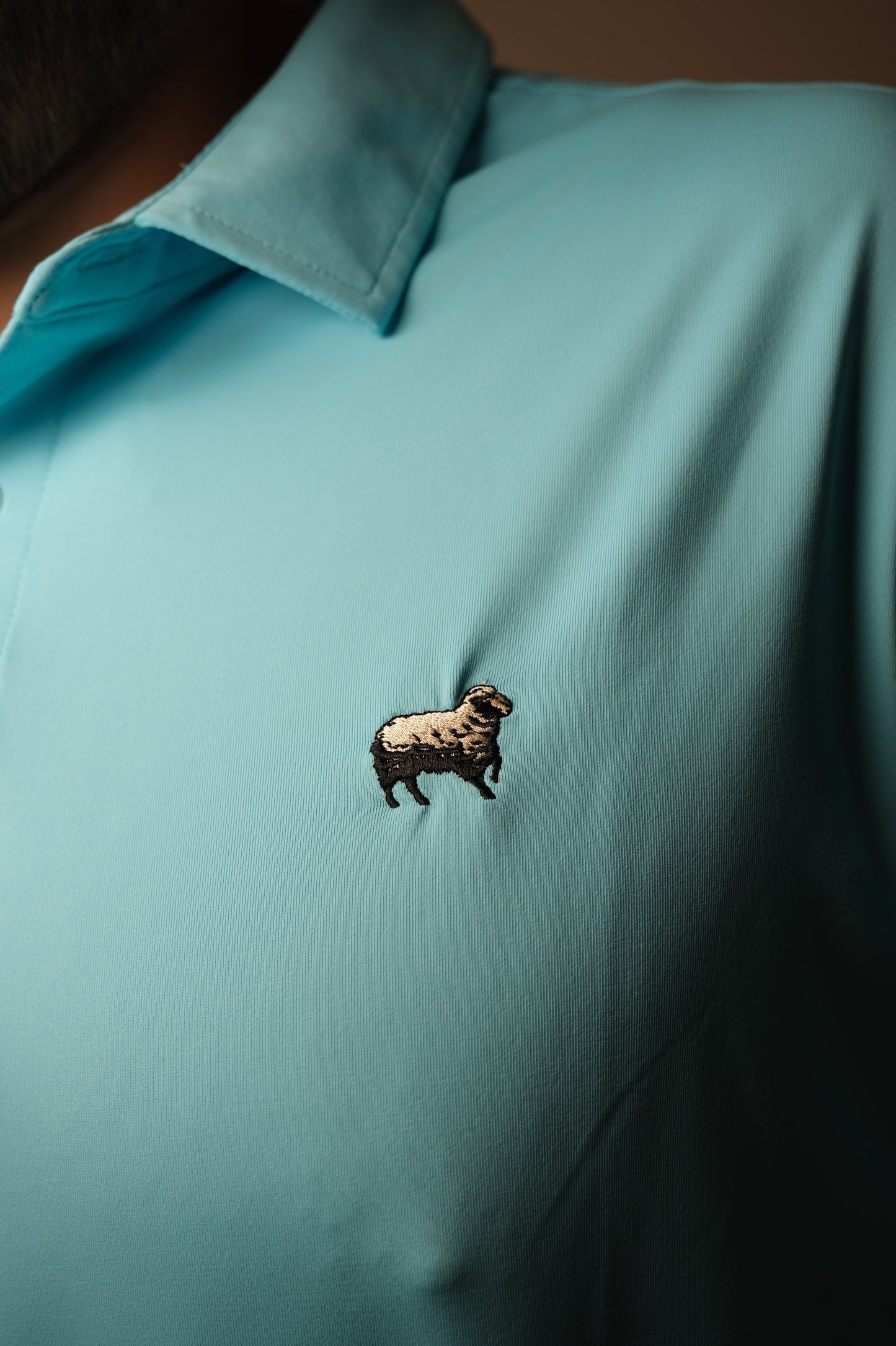 'Aqua' Polo Shirt