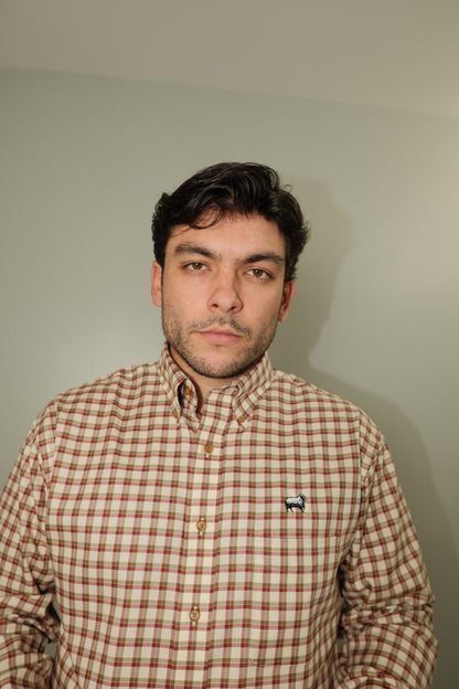 'Orchard' Plaid Oxford Shirt