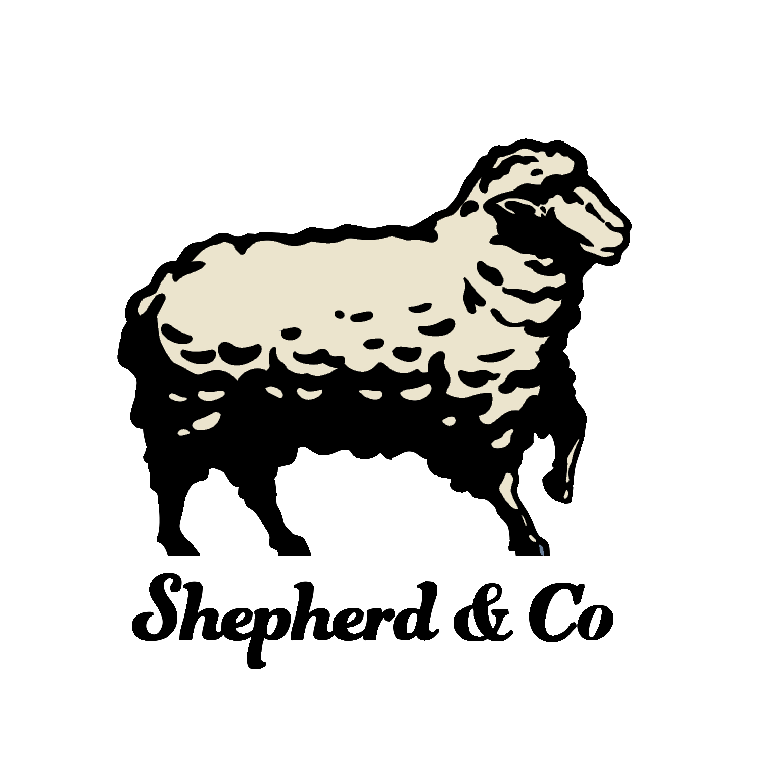 About Us Shepherd&Co
