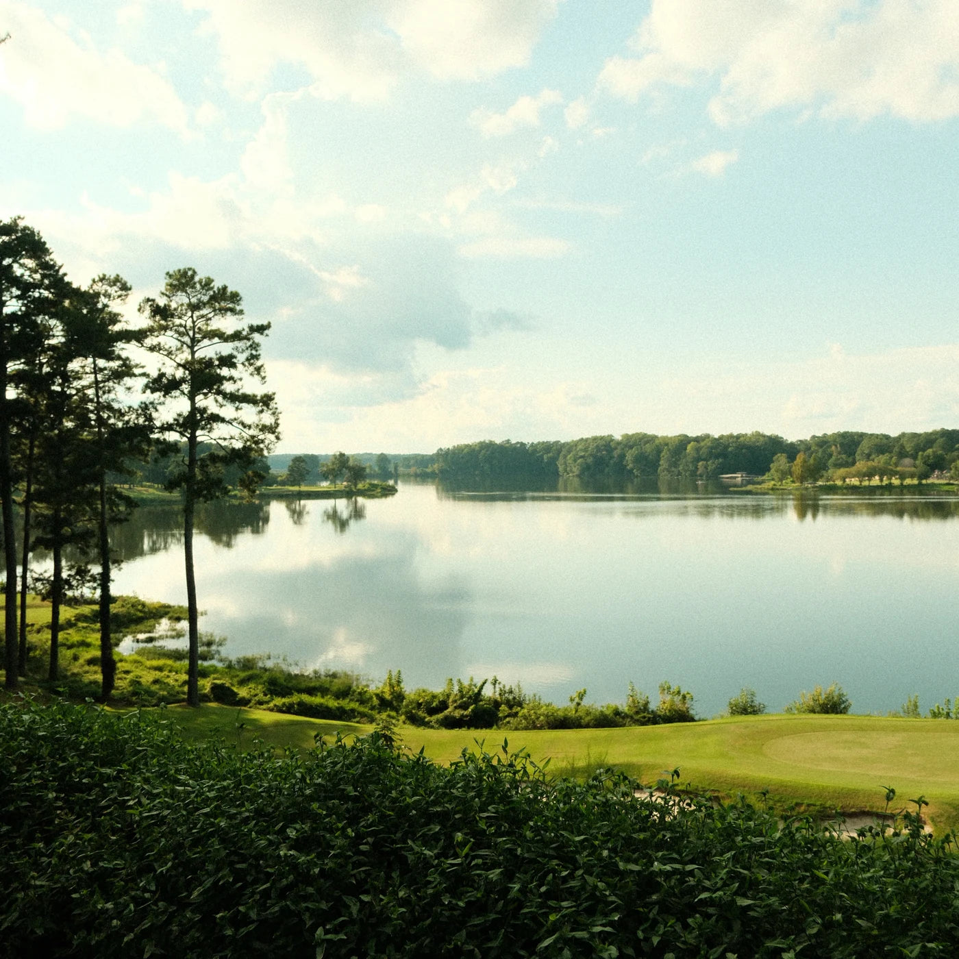 A quiet lake bordered by trees